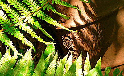 加特林短信测压